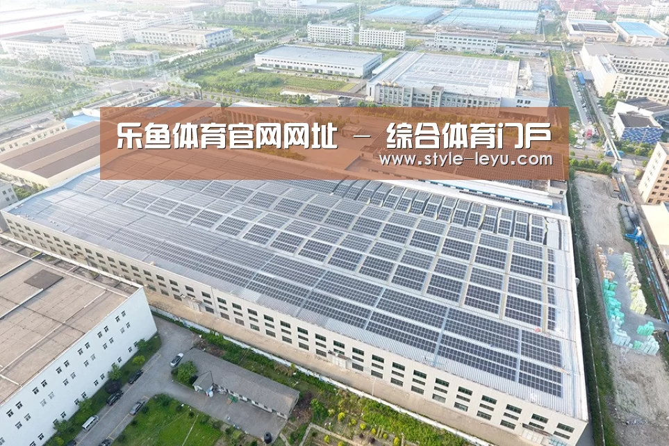 案例展示三