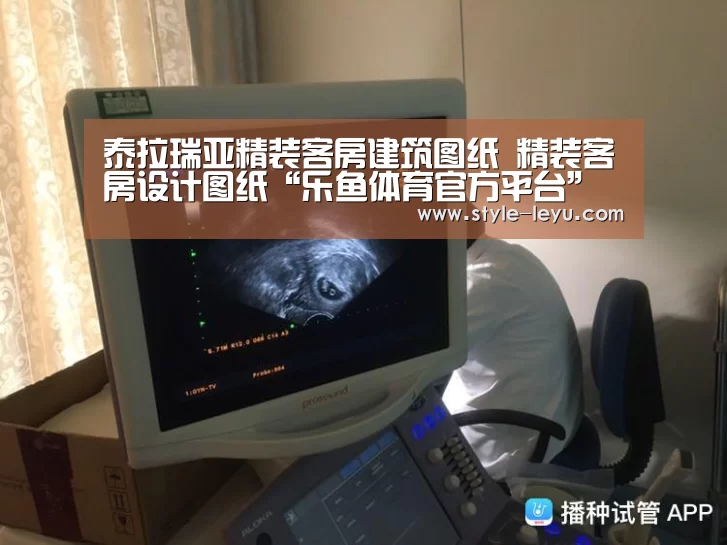 泰拉瑞亚精装客房建筑图纸 精装客房设计图纸“乐鱼体育官方平台”(图4) 乐鱼体育官方网站入口