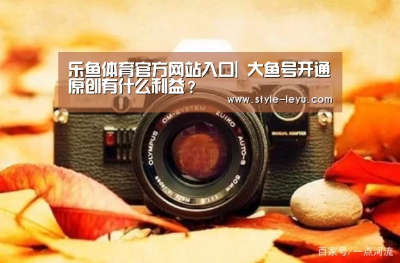 乐鱼体育官方网站入口|
大鱼号开通原创有什么利益?(图4) 乐鱼体育官方网站入口