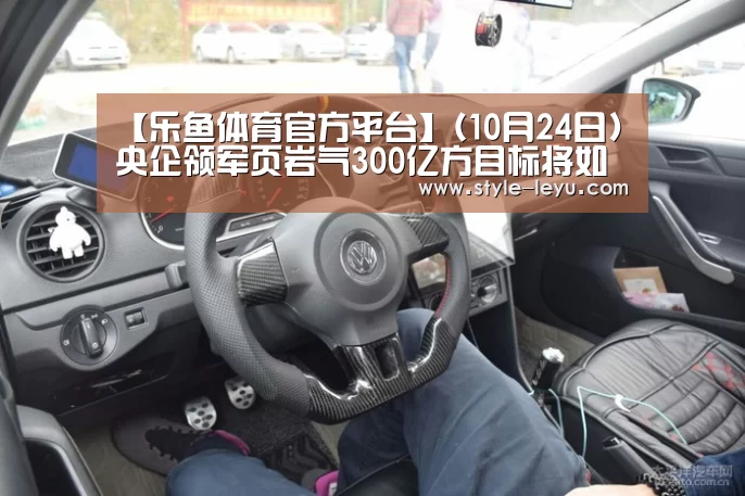 【乐鱼体育官方平台】(10月24日)央企领军页岩气300亿方目标将如期完成(图2) 乐鱼官网下载