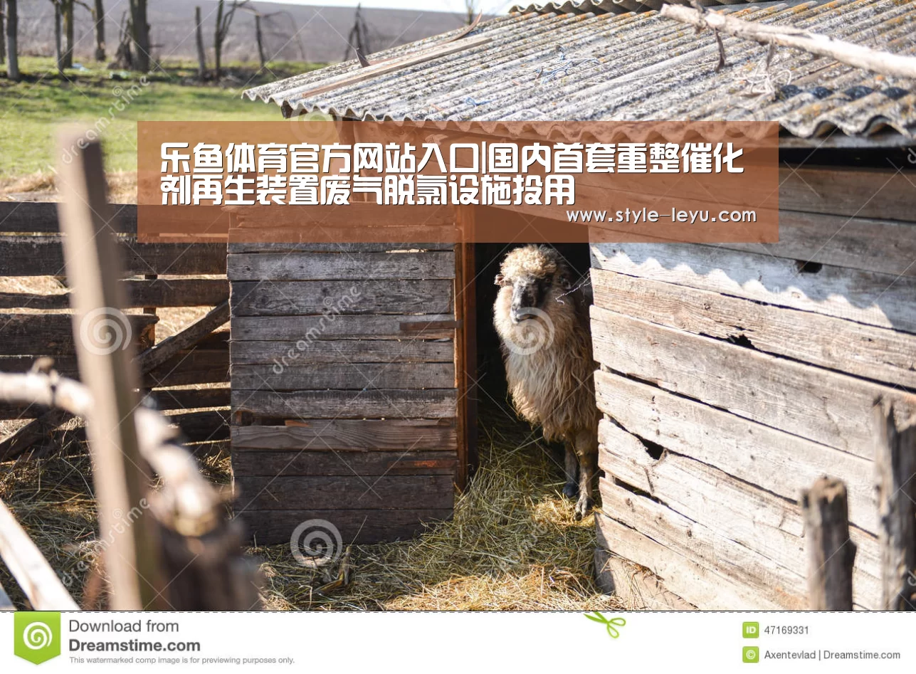 乐鱼体育官方网站入口|国内首套重整催化剂