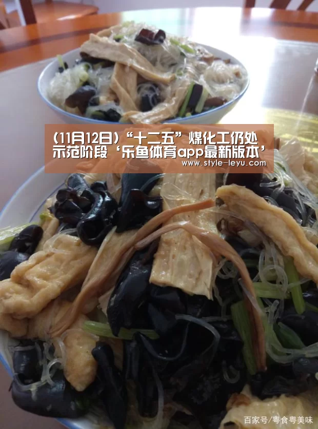 (11月12日)“十二五”煤化工仍处示范阶段‘乐鱼体育app最新版本’(图3) 乐鱼体育官方网站入口