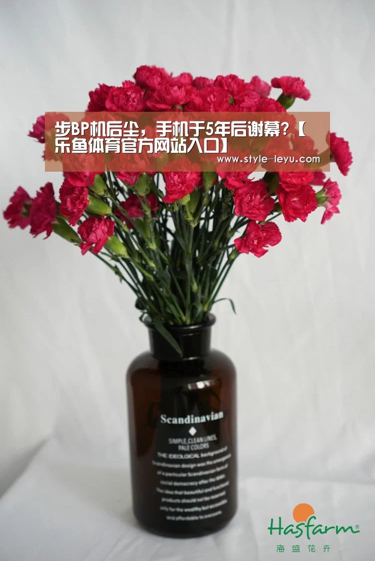 乐鱼官网下载