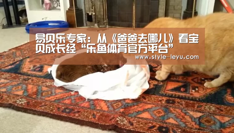 乐鱼体育官方平台