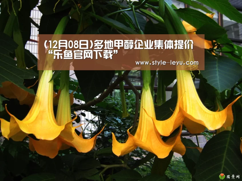 (12月08日)多地甲醇企业集体提价“乐